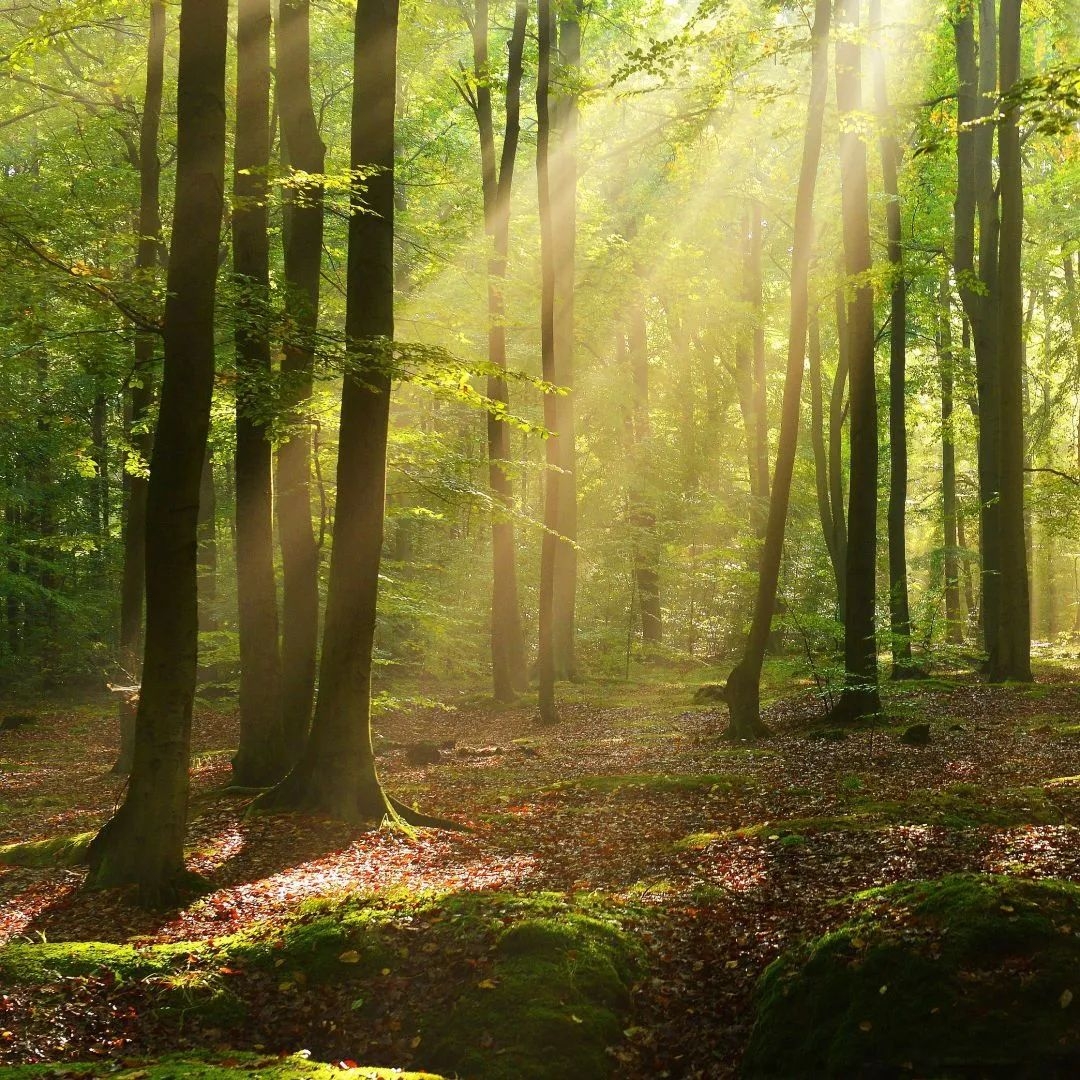 UU¹ú¼Ê(ÖйúÇø)-¹Ù·½ÍøÕ¾