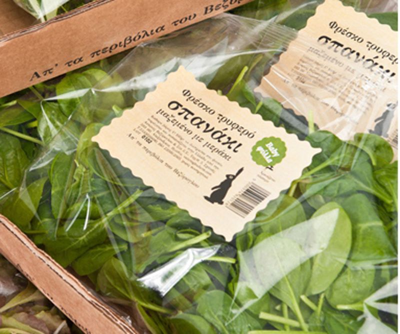 ����ֽ�಻�ɽ�